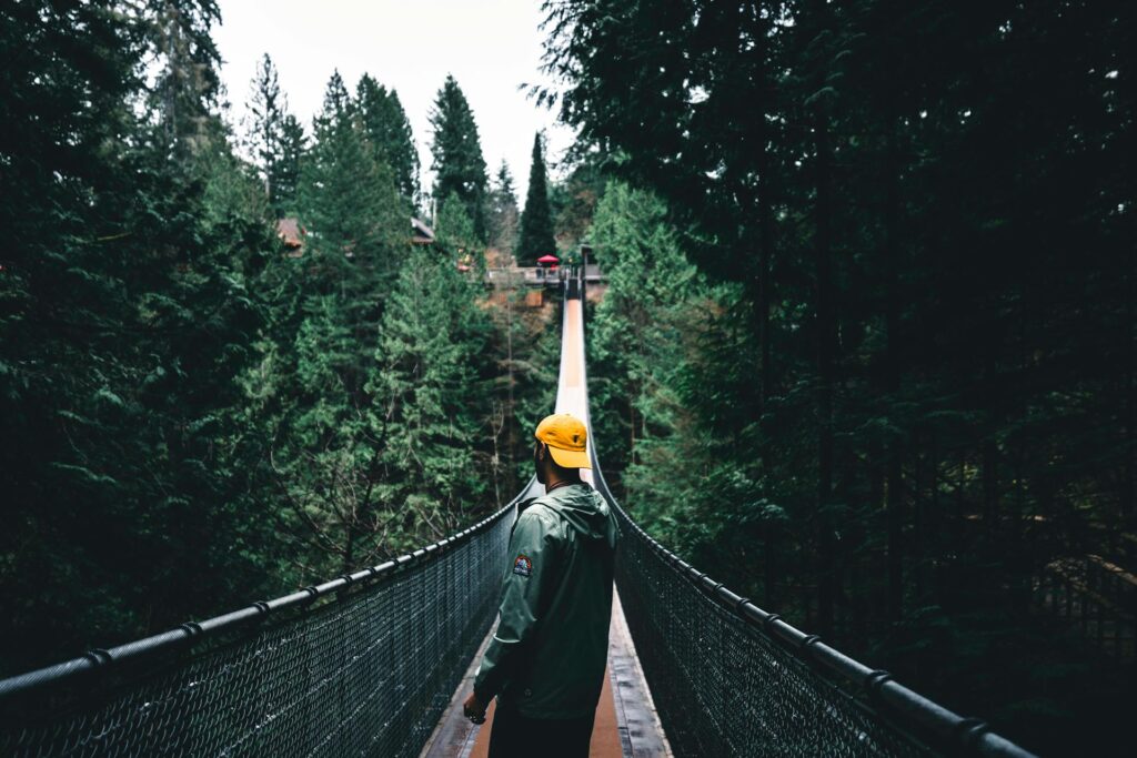 pexels-lureofadventure-23439621